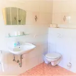 Schwartzwirt Guest house Neusiedl am Steinfelde